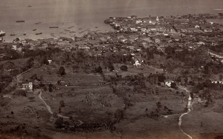 A Bee’s-Eye-View of Panama in the late 1800’s 