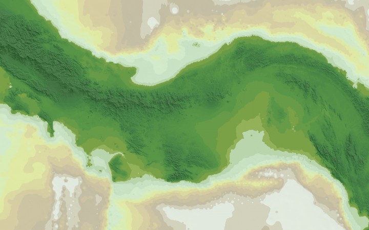 Smithsonian Tropical Research Institute