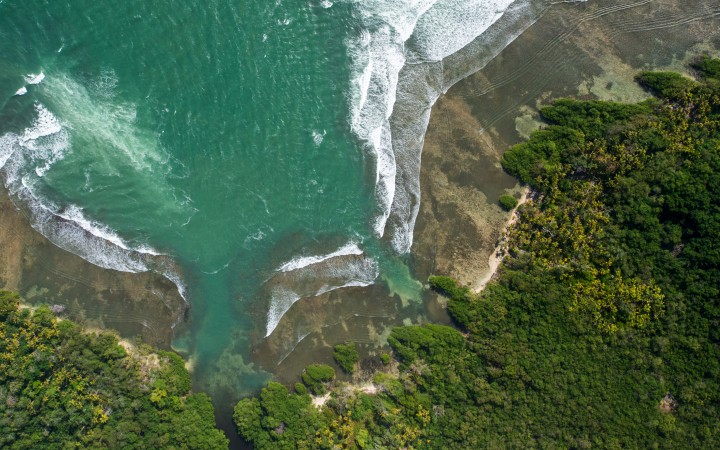 STRI Panama