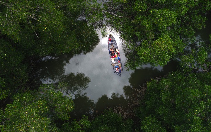Learning from Tropical Nature in 2018