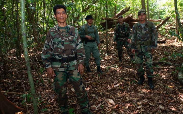 The avengers of the forest