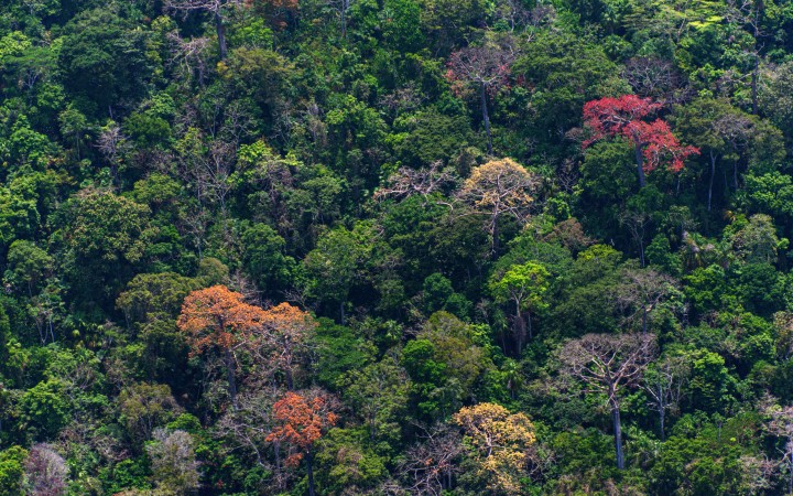 Smithsonian Tropical Research Institute