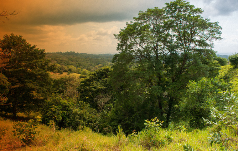 Smithsonian Tropical Research Institute (STRI)