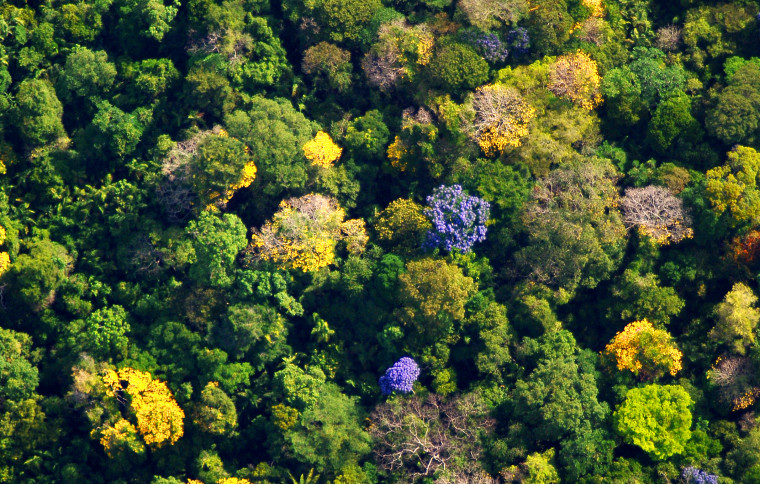 Smithsonian Tropical Research Institute (STRI)