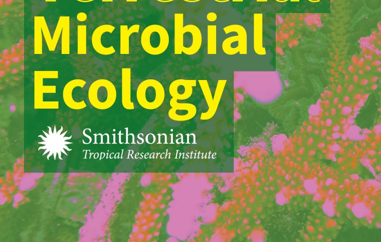 Smithsonian Tropical Research Institute