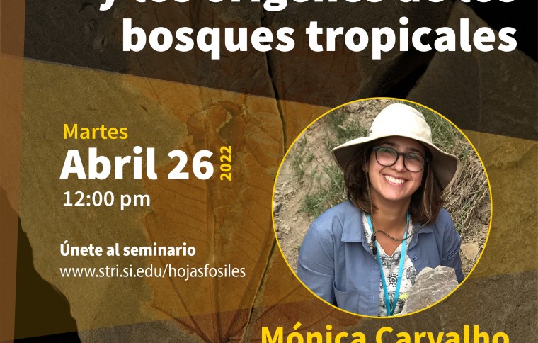 Monica Carvalho webinar STRI