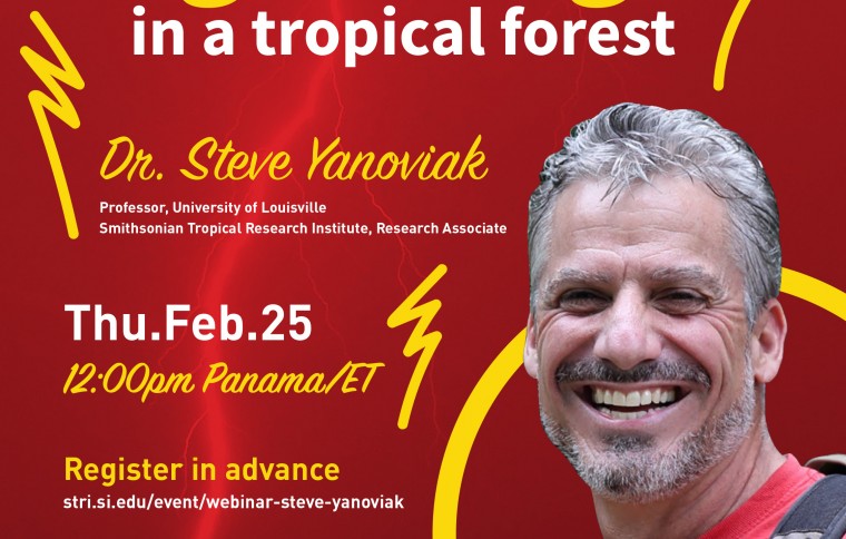 STRI Webinars Panama