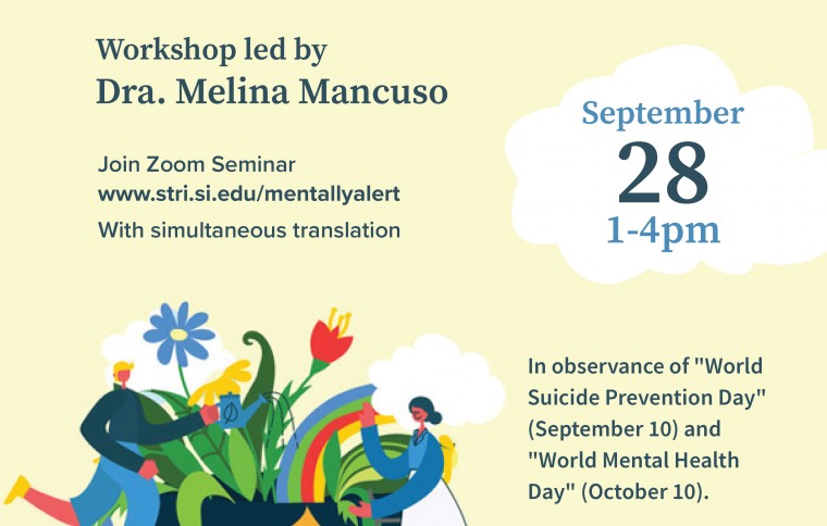 STRI Workshop
