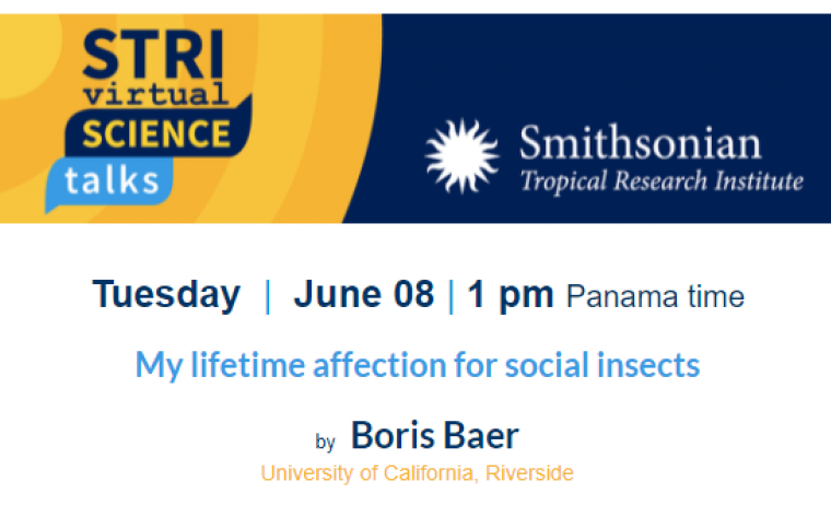 STRI Science Talks 2021