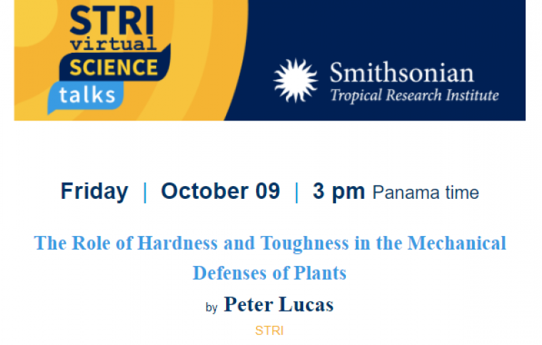 Smithsonian Tropical Research Institute