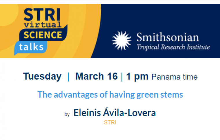 STRI Science Virtual Talks