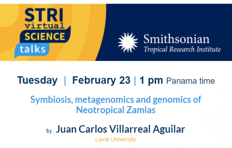 STRI Science Virtual Talks