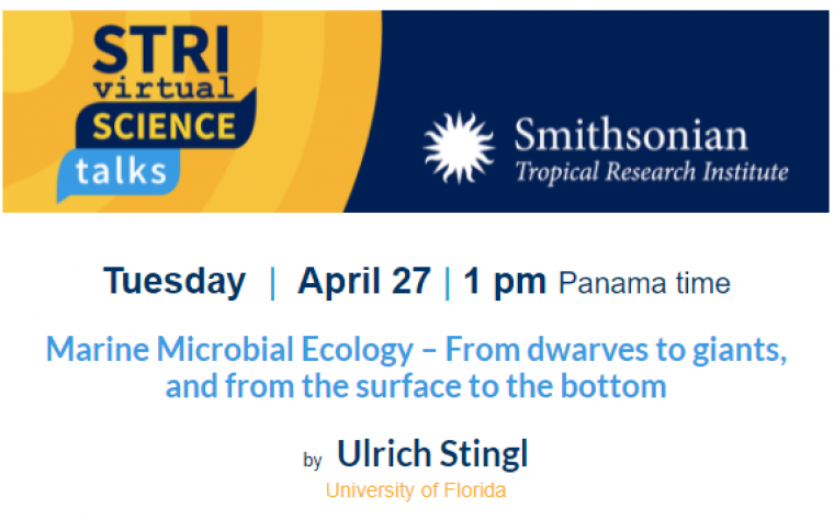 STRI Science Talks 2021