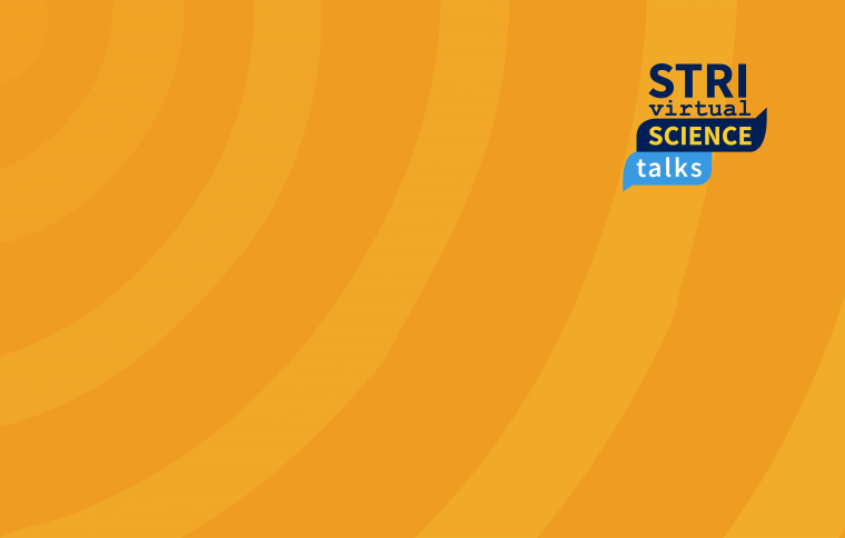 STRI Science Talks