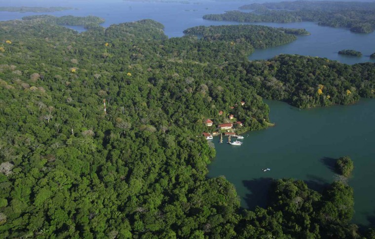 Smithsonian Tropical Research Institute (STRI)