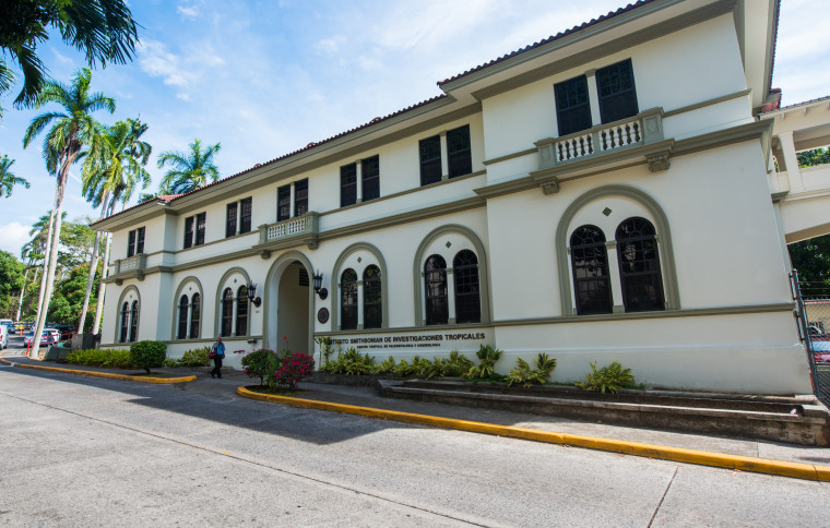 Center for Tropical Paleoecology and Archaeology