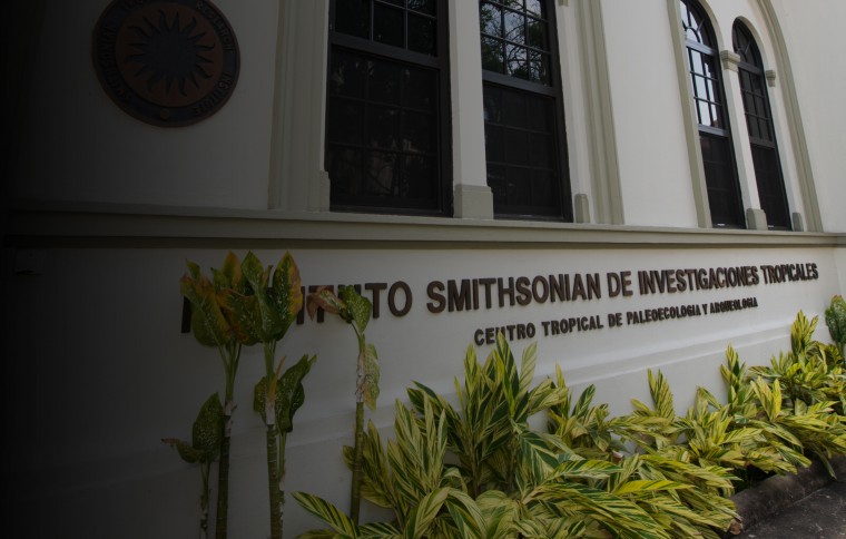 Ancón is renovated and named the Center for Tropical Paleoecology and Archaeology