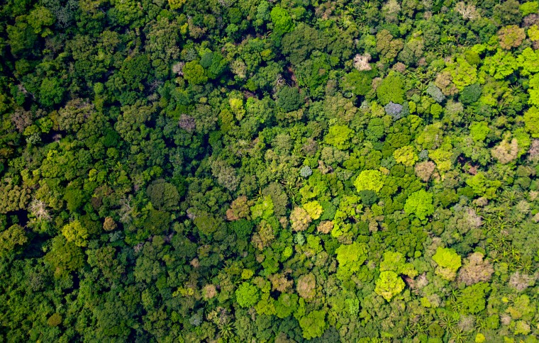 Smithsonian Tropical Research Institute (STRI)