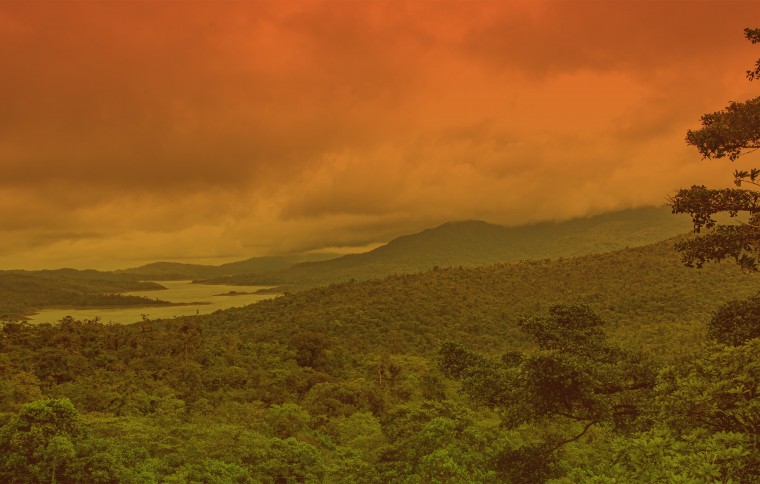 Smithsonian Tropical Research Institute