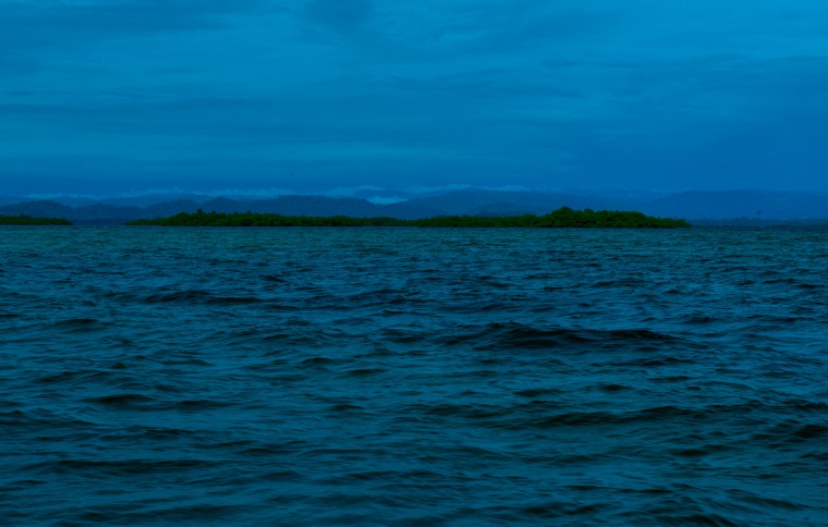 Smithsonian Tropical Research Institute