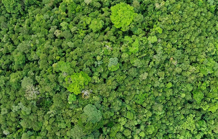 Smithsonian Tropical Research Institute
