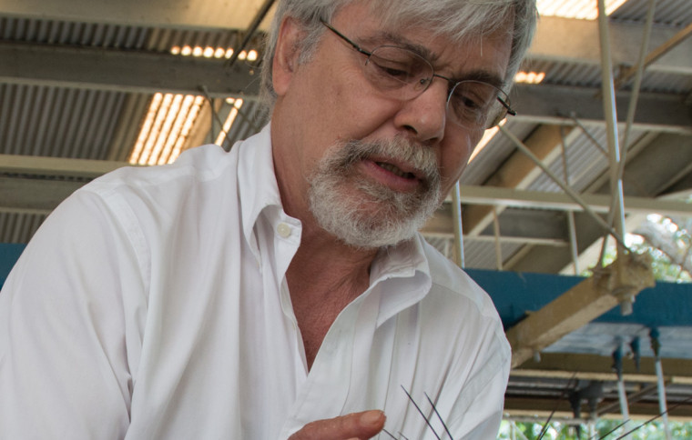 Harilaos Lessios