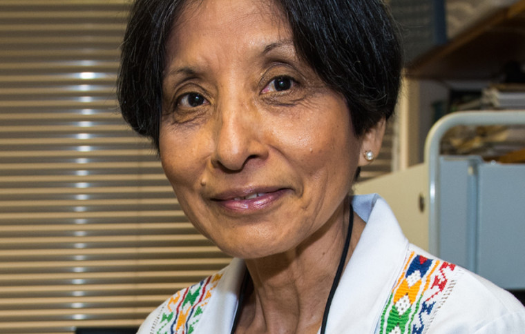 Noris Salazar Allen