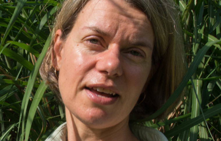 Kristin Saltonstall