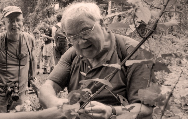 beetle expert thumbnail