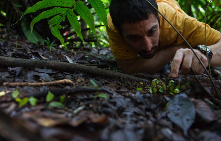 Smithsonian Tropical Research Institute