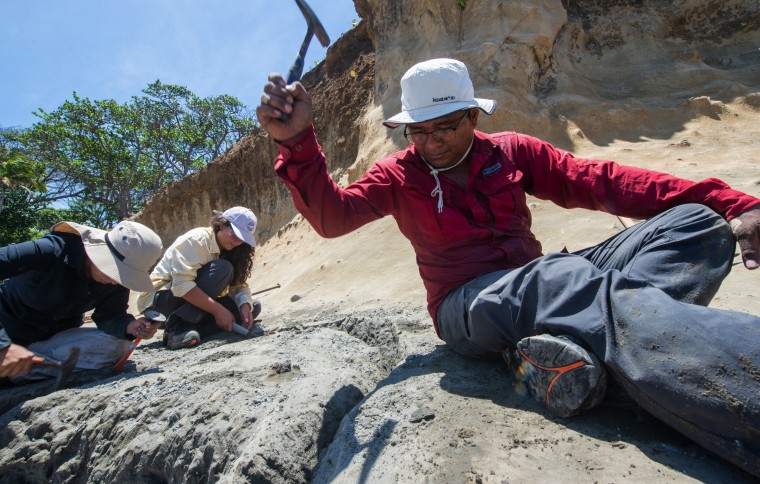 The marine fossil explorer