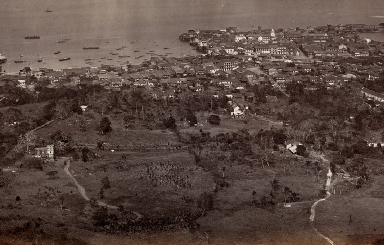 A Bee’s-Eye-View of Panama in the late 1800’s 