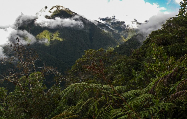 Microbes in warm soils released more carbon than those in cooler soils