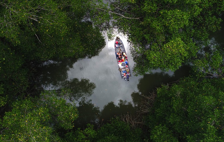 Learning from Tropical Nature in 2018
