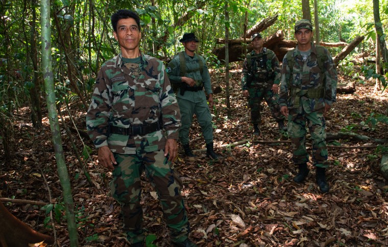 The avengers of the forest
