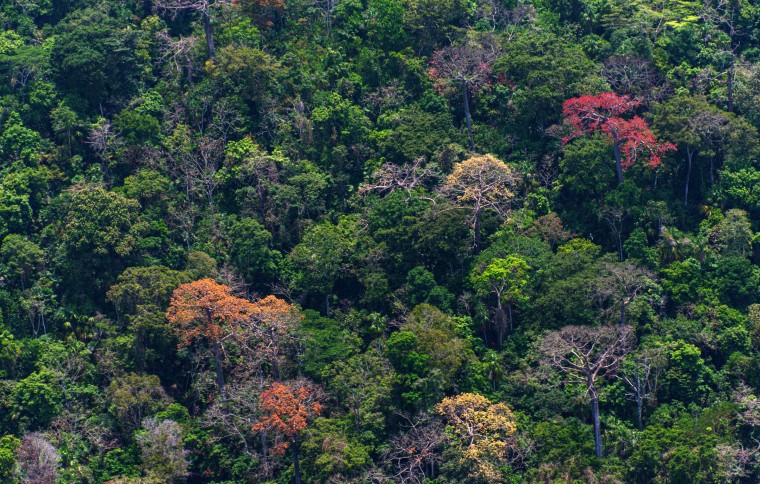 Smithsonian Tropical Research Institute